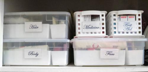 Multiple Clear Bins with Labels